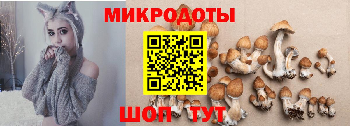 Псилоцибиновые грибы Cubensis Нягань